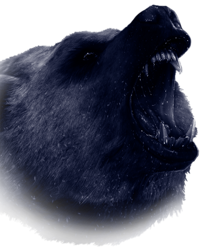 overlay image